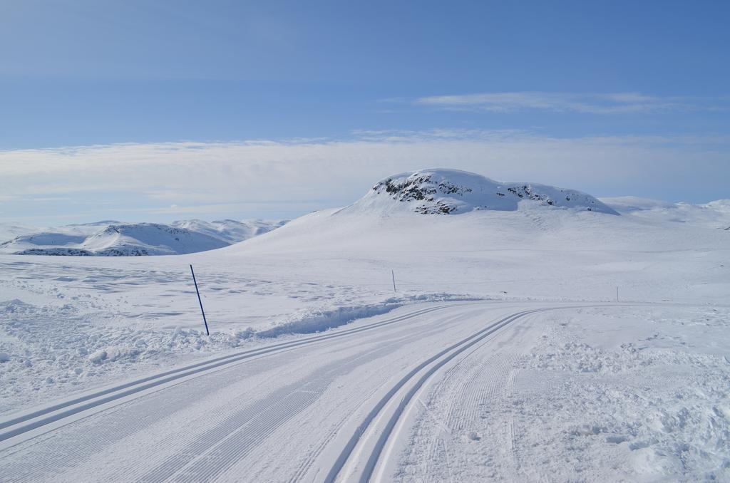 Holiday park Hoyfjellsenter